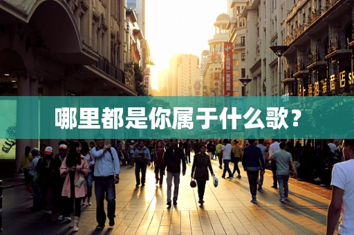 哪里都是你属于什么歌？