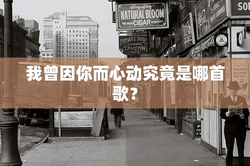 我曾因你而心动究竟是哪首歌？
