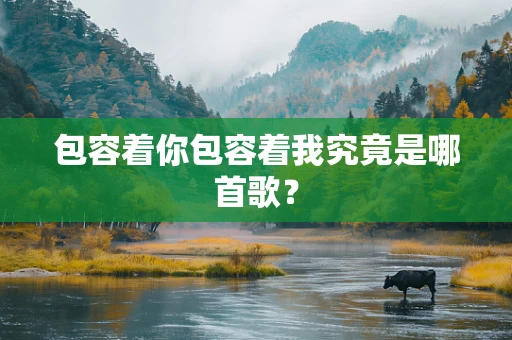 包容着你包容着我究竟是哪首歌？