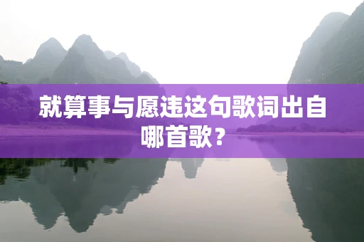 就算事与愿违这句歌词出自哪首歌？