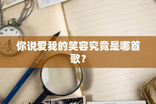 你说爱我的笑容究竟是哪首歌？
