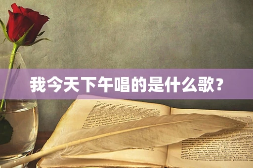 我今天下午唱的是什么歌？