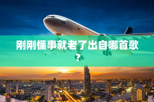 刚刚懂事就老了出自哪首歌？