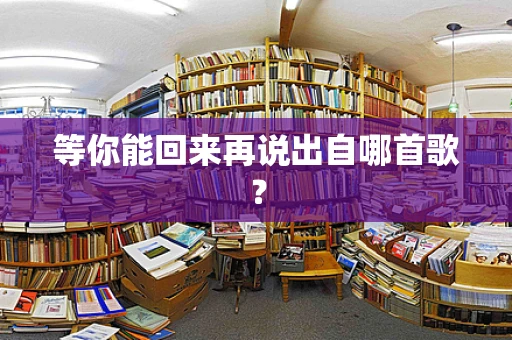 等你能回来再说出自哪首歌？