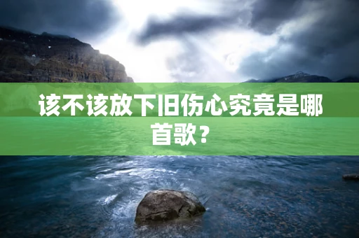 该不该放下旧伤心究竟是哪首歌？