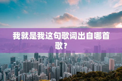 我就是我这句歌词出自哪首歌？