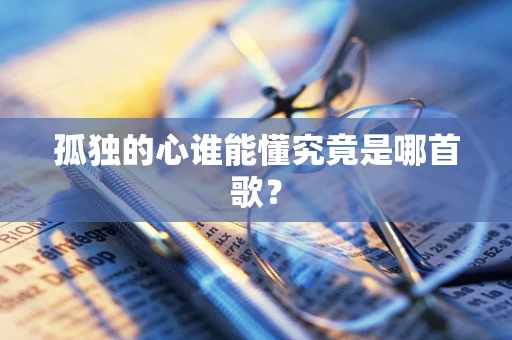 孤独的心谁能懂究竟是哪首歌？