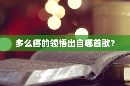 多么疼的领悟出自哪首歌？
