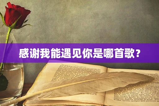 感谢我能遇见你是哪首歌？