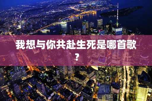 我想与你共赴生死是哪首歌？