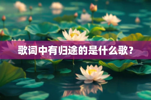 歌词中有归途的是什么歌？