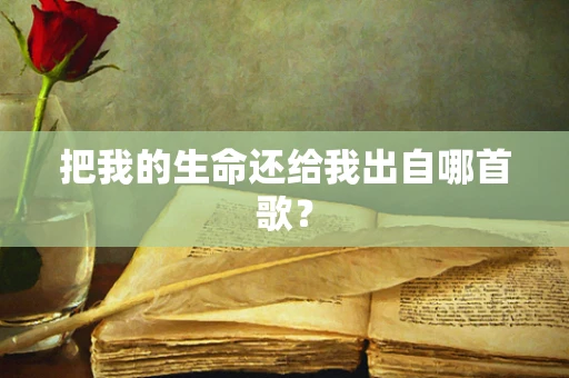 把我的生命还给我出自哪首歌？