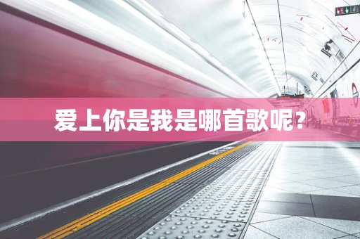爱上你是我是哪首歌呢？