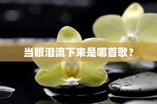 当眼泪流下来是哪首歌？