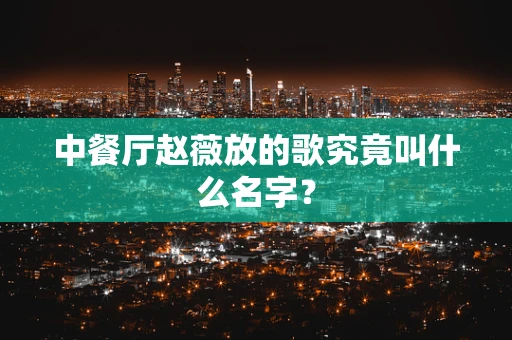 中餐厅赵薇放的歌究竟叫什么名字？