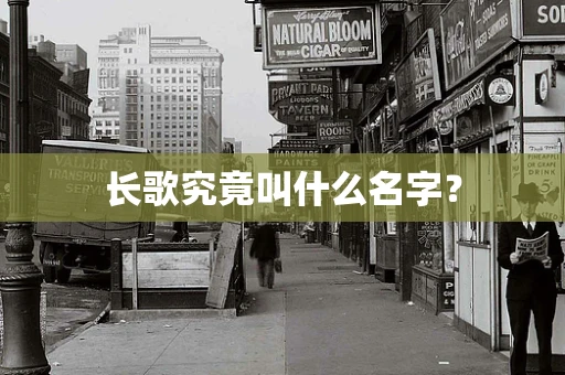 长歌究竟叫什么名字？