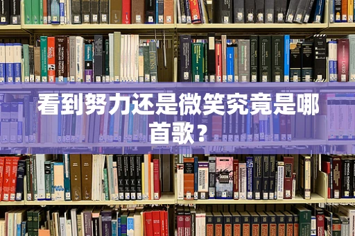 看到努力还是微笑究竟是哪首歌？