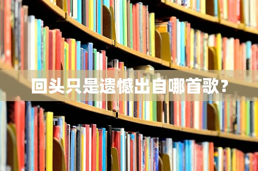 回头只是遗憾出自哪首歌？