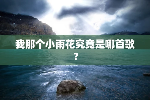 我那个小雨花究竟是哪首歌？