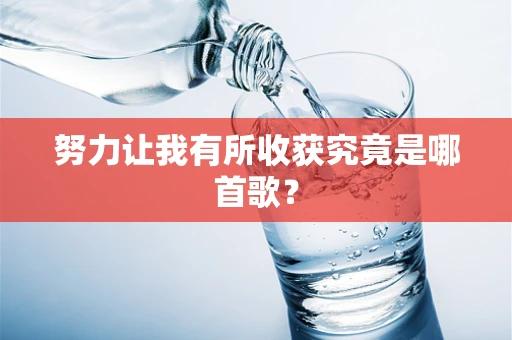 努力让我有所收获究竟是哪首歌？