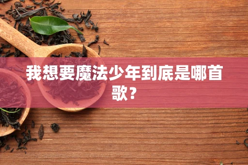 我想要魔法少年到底是哪首歌？