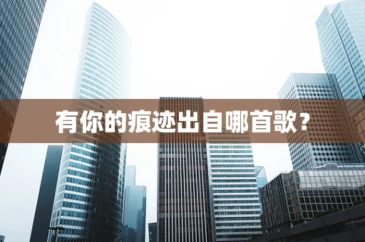 有你的痕迹出自哪首歌？