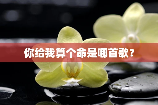 你给我算个命是哪首歌？