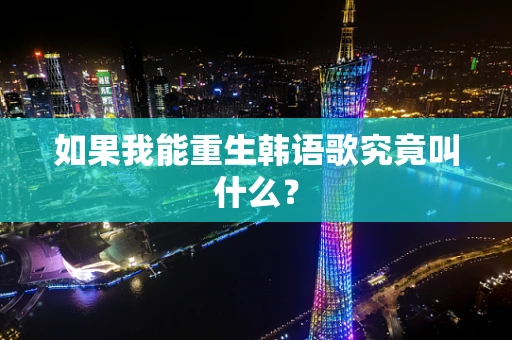如果我能重生韩语歌究竟叫什么？