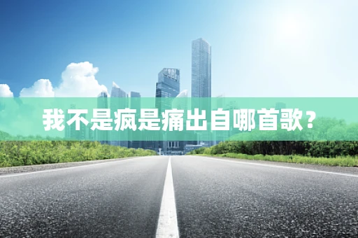 我不是疯是痛出自哪首歌？