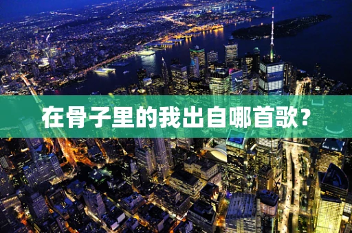 在骨子里的我出自哪首歌？