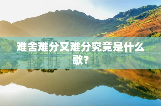难舍难分又难分究竟是什么歌？