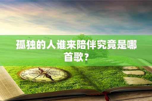 孤独的人谁来陪伴究竟是哪首歌？