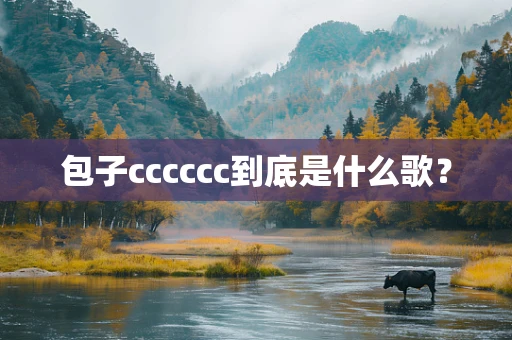 包子cccccc到底是什么歌？