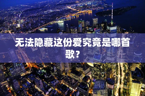 无法隐藏这份爱究竟是哪首歌？