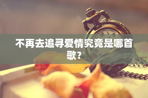 不再去追寻爱情究竟是哪首歌？