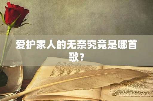 爱护家人的无奈究竟是哪首歌？