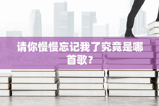 请你慢慢忘记我了究竟是哪首歌？
