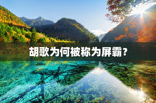 胡歌为何被称为屏霸？