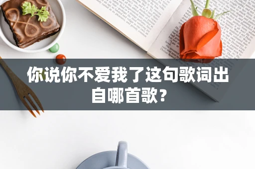你说你不爱我了这句歌词出自哪首歌？