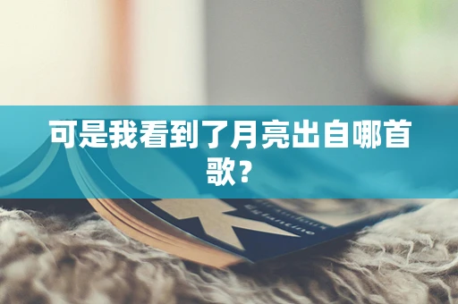 可是我看到了月亮出自哪首歌？