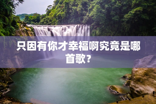 只因有你才幸福啊究竟是哪首歌？