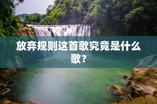 放弃规则这首歌究竟是什么歌？
