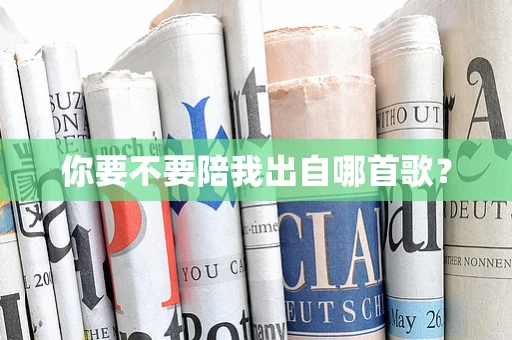 你要不要陪我出自哪首歌？