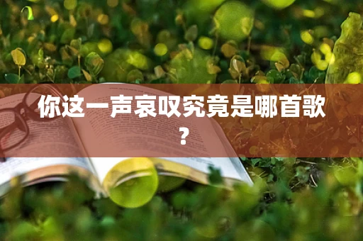 你这一声哀叹究竟是哪首歌？