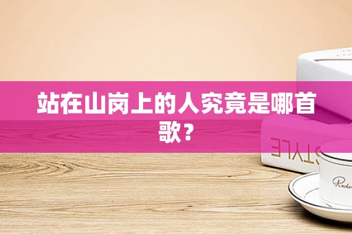 站在山岗上的人究竟是哪首歌？