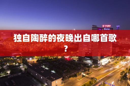 独自陶醉的夜晚出自哪首歌？