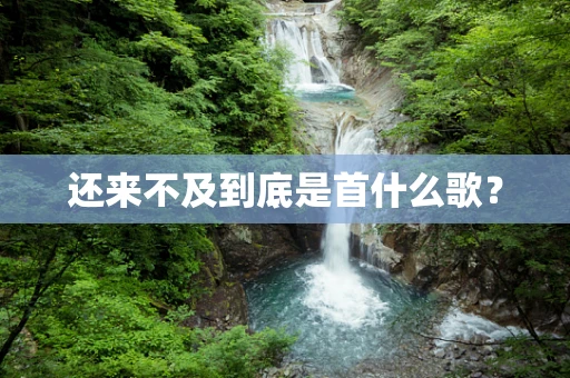 还来不及到底是首什么歌？