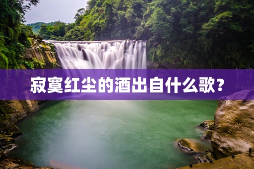 寂寞红尘的酒出自什么歌？