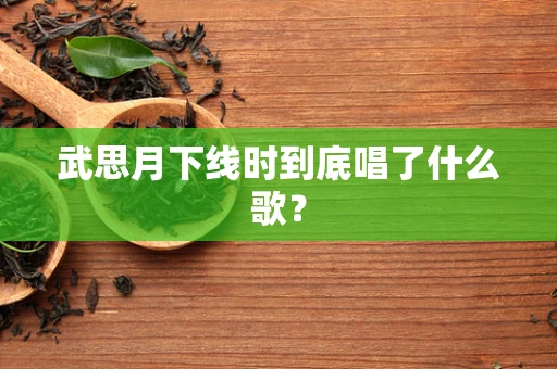 武思月下线时到底唱了什么歌？
