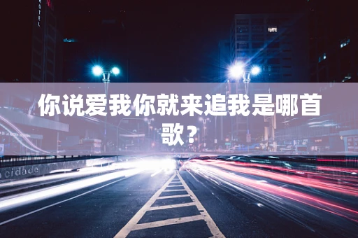 你说爱我你就来追我是哪首歌？